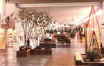 Plaza De Las Américas Saltillo - Thumbnail 5 Plaza De Las Américas Saltillo - Thumbnail 5