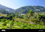 La Vega Shopping Mall - Thumbnail 4