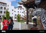 Paseo Cayalá - Thumbnail 5