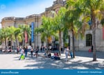 Plaza Del Olmo - Thumbnail 5