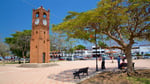Plaza Fiesta Fresnos - Thumbnail 4
