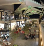 Paseo La Rioja - Thumbnail 9
