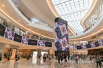 Starfield Goyang - Thumbnail 4