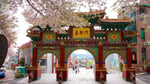 Incheon Chinatown Retail - Thumbnail 3