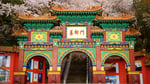 Incheon Chinatown Retail - Thumbnail 8