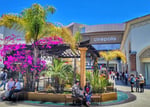 Plaza Paloma - Thumbnail 6