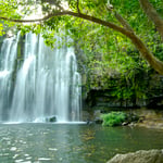 Plaza Guanacaste - Thumbnail 7