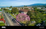 Multiplaza Liberia - Thumbnail 3 Multiplaza Liberia - Thumbnail 3