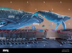 Multiplaza Liberia - Thumbnail 6 Multiplaza Liberia - Thumbnail 6