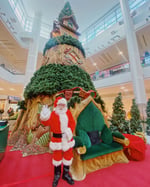 Centro Comercial 24 De Diciembre - Thumbnail 11