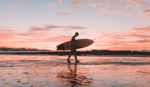 Plaza Tamarindo - Thumbnail 1