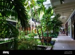 Bal Harbour Shops - Thumbnail 3 Bal Harbour Shops - Thumbnail 3