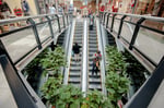 Plaza Los Portones - Thumbnail 5