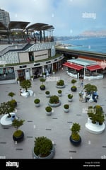 Mall Del Pacifico - Thumbnail 6