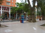 Plaza Real - Thumbnail 4