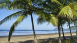 Plaza Coral - Thumbnail 5
