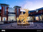 Plaza Livingston - Thumbnail 6