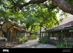 Village Plaza - Thumbnail 6 Village Plaza - Thumbnail 6