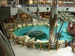 Alqarrat Mall - Thumbnail 2