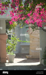 International Bazaar - Thumbnail 7