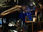 Espace Cluny - Thumbnail 8 Espace Cluny - Thumbnail 8