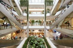 Ank Amall - Thumbnail 10