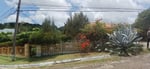 Knockpatrick Plaza - Thumbnail 13 Knockpatrick Plaza - Thumbnail 13