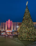 Market Street - The Woodlands - Thumbnail 5 Market Street - The Woodlands - Thumbnail 5
