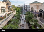 The Grove - Thumbnail 15