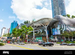 Ion Orchard - Thumbnail 1