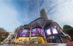 Ion Orchard - Thumbnail 5