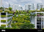 Oasis Terraces - Thumbnail 5