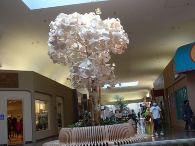 Mexico City, CMX shopping district