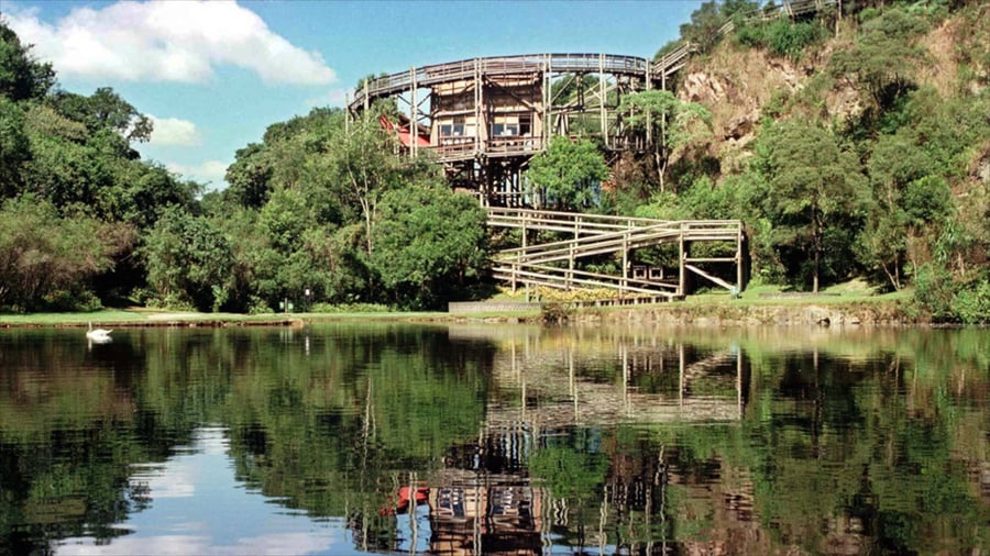 Shopping Crystal - Gallery Photo 7 Shopping Crystal - Gallery Photo 7
