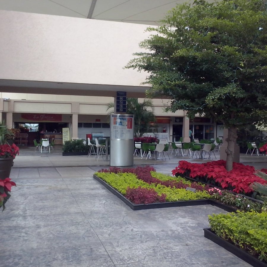 Plaza San Isidro - Gallery Photo 3