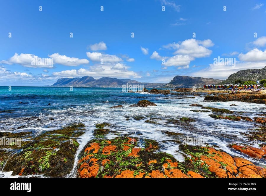 Seaside Village - Gallery Photo 4 Seaside Village - Gallery Photo 4