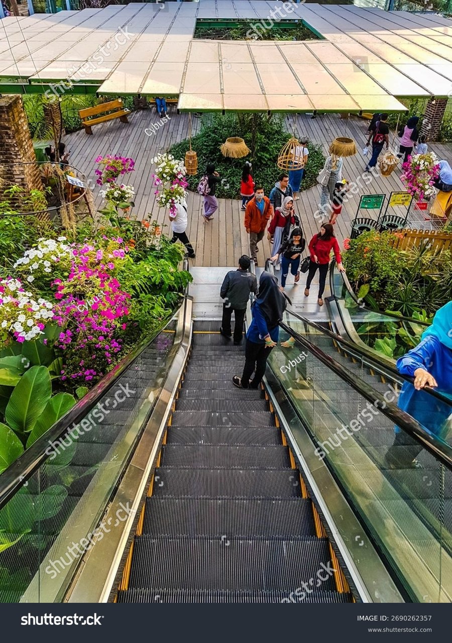 D'botanica Mall - Gallery Photo 2