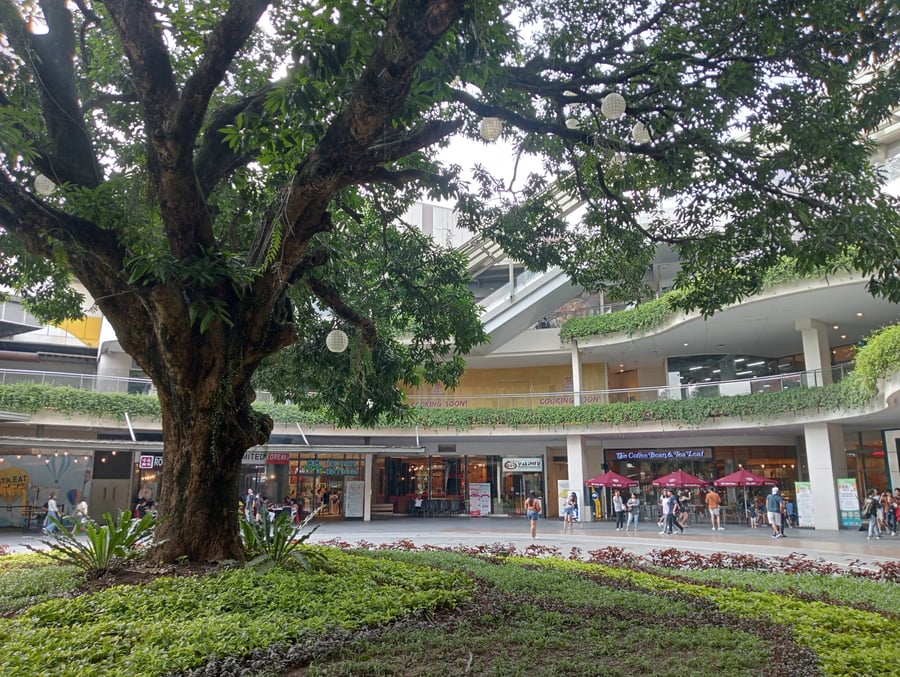 Fairview Terraces - Gallery Photo 1