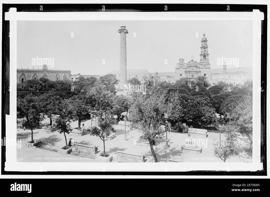 Plaza Las Américas - Gallery Photo 3 Plaza Las Américas - Gallery Photo 3