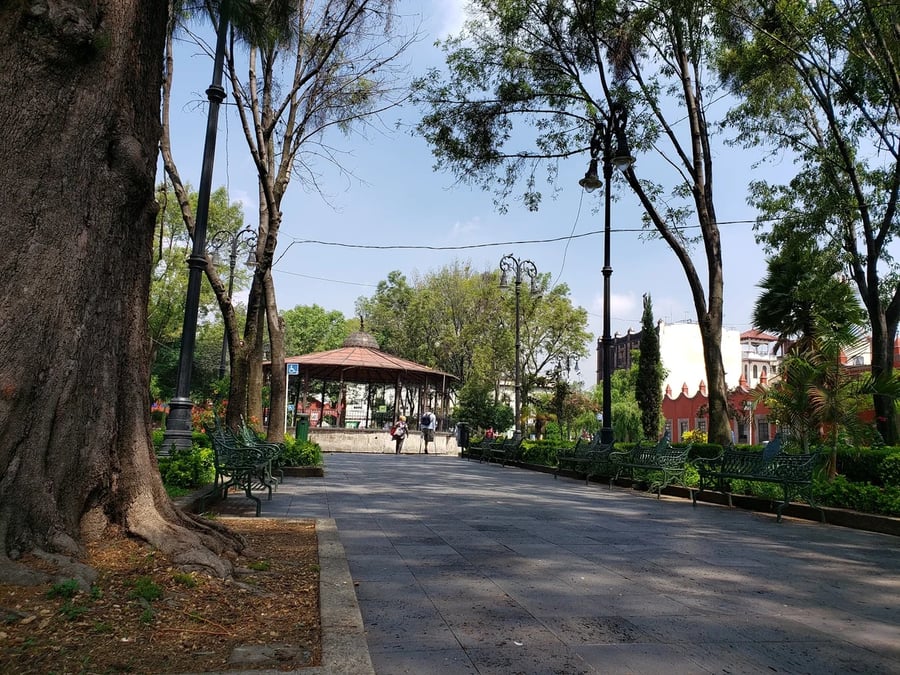 Plaza Coyoacán - Gallery Photo 2