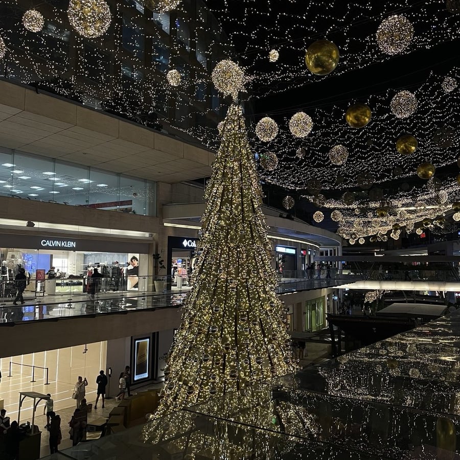 Plaza Las Palmas - Gallery Photo 6