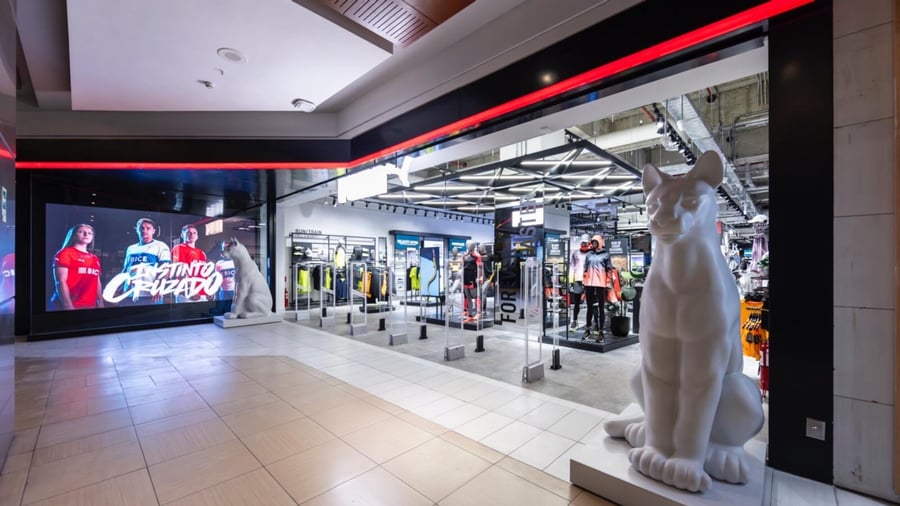 Mallplaza Chillán - Gallery Photo 4