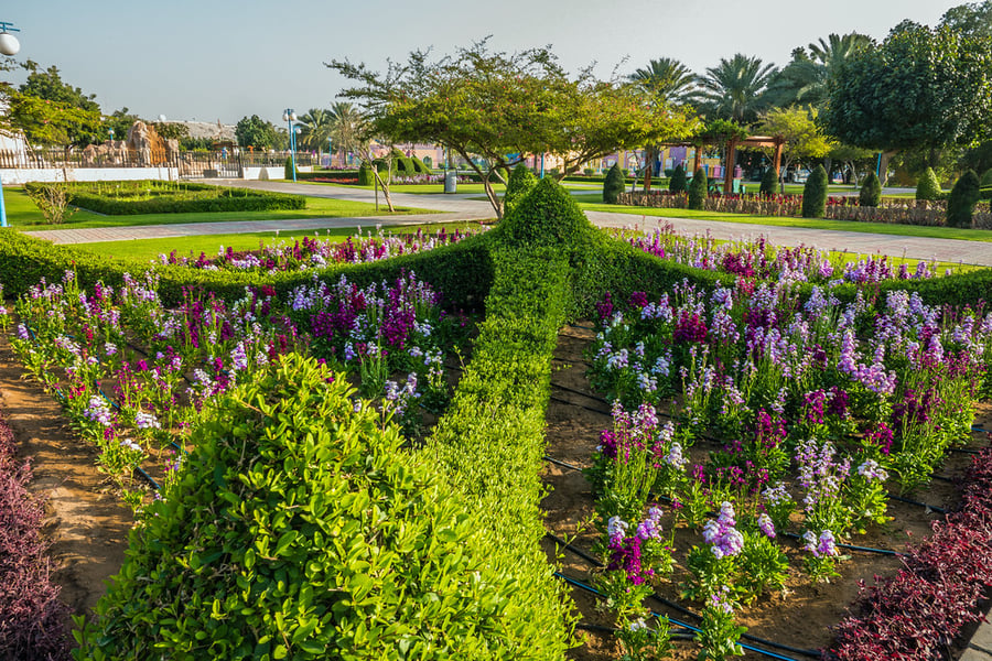 Qurum Gardens - Gallery Photo 7