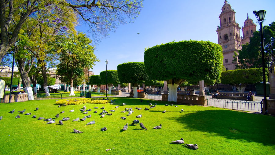 Plaza Andares Morelia - Gallery Photo 7 Plaza Andares Morelia - Gallery Photo 7