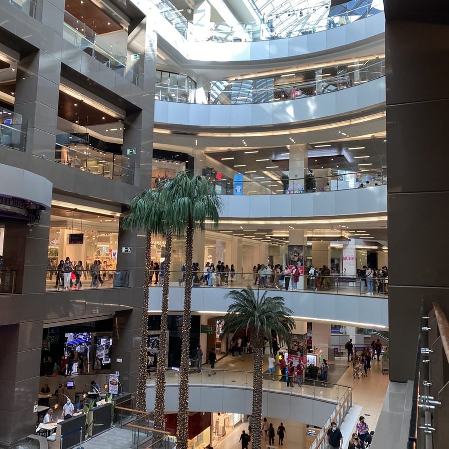 Plaza Los Laureles - Gallery Photo 3
