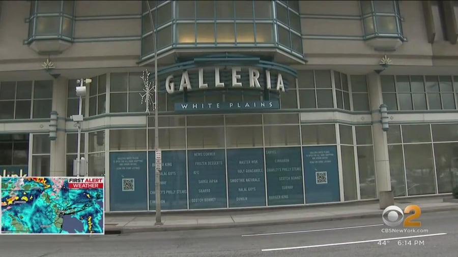 Galleria At White Plains - Gallery Photo 11 Galleria At White Plains - Gallery Photo 11