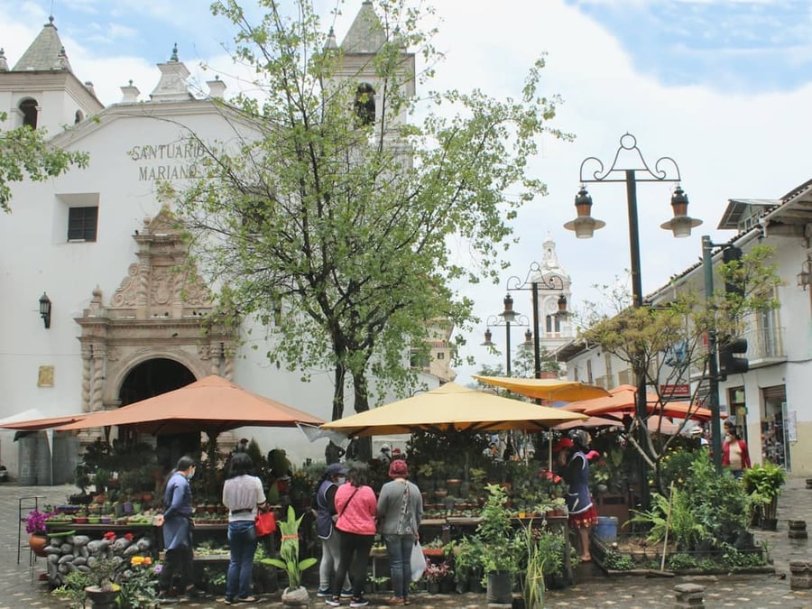 Plaza Fiesta San Agustín - Gallery Photo 2