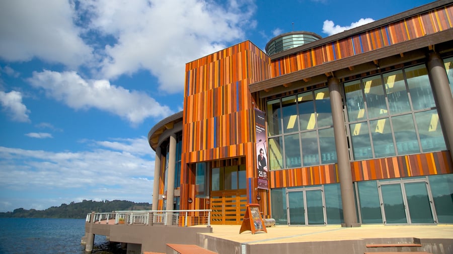 Mall Open Plaza Osorno - Gallery Photo 6