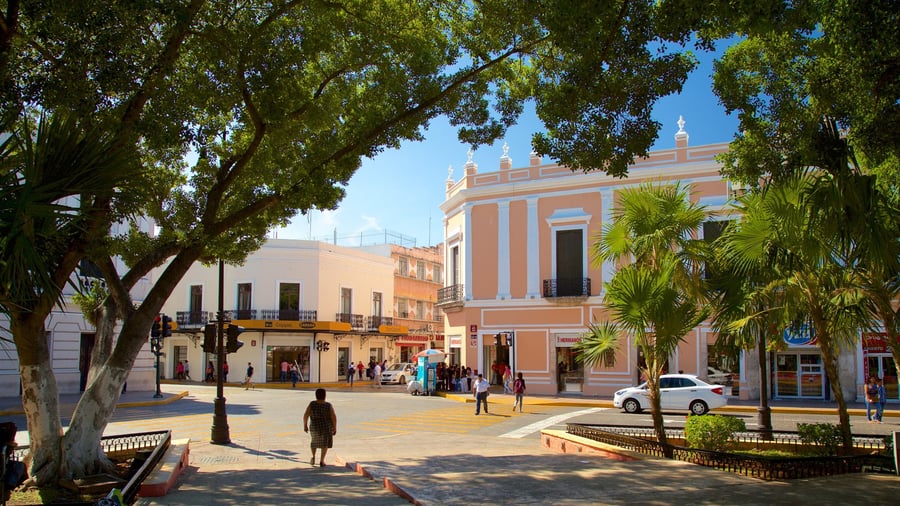 Plaza Town Square - Gallery Photo 5