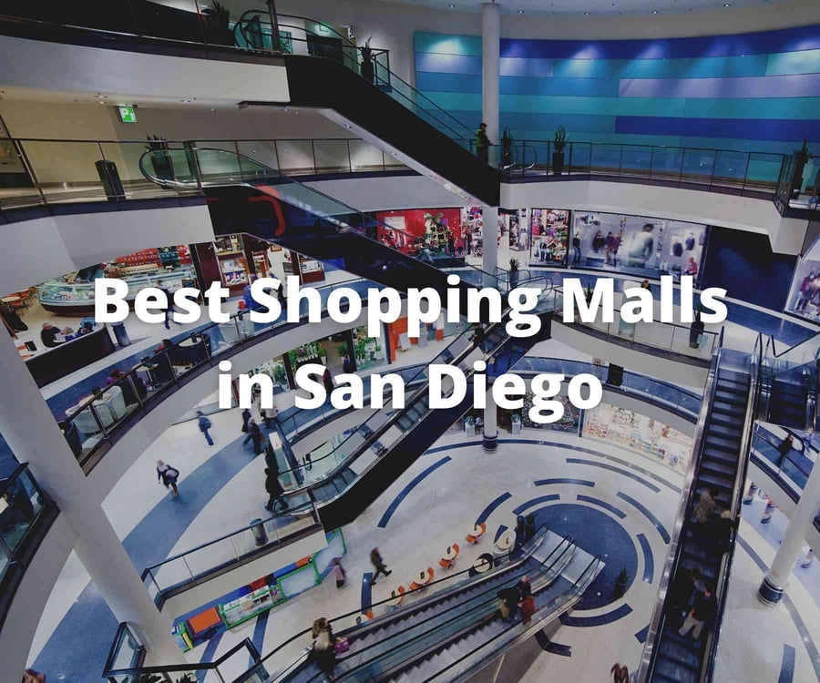 Mall Paseo Del Valle - Gallery Photo 10